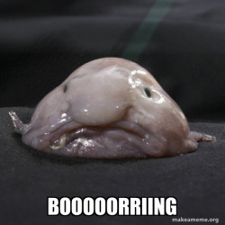 Blobfish