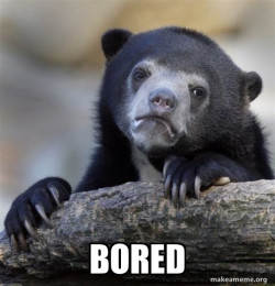 Confession Bear