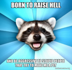Lame Pun Coon
