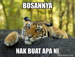 Confession Tiger