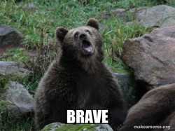 Sarcastic Bear