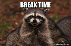 Evil Plotting Raccoon