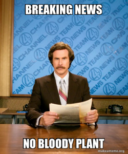 Breaking News