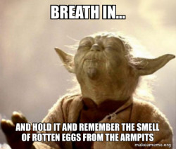 Yoda Smell