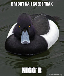 Revenge Duck ( Angry Advice Duck )