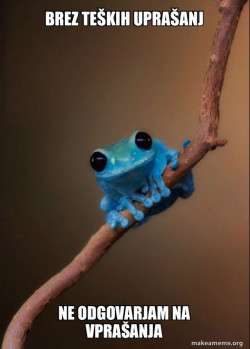 Small Fact Frog