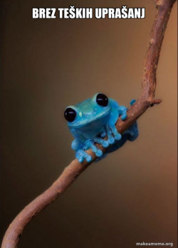 Small Fact Frog