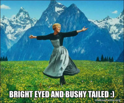 Sound of Music