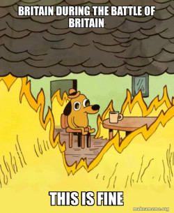 This Is Fine
