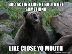 Sarcastic Bear