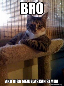 The Most Interesting Cat in the World