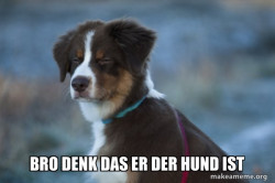 Unsure Dog