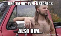 Almost Politically Correct Redneck