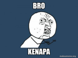 Y U No