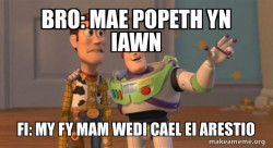 Buzz and Woody (Toy Story) Meme