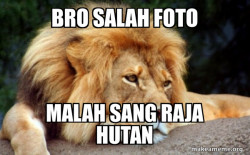 Confession Lion