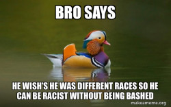 Fashionable Advice Mallard