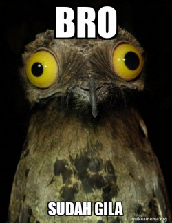 Weird Stuff I do Potoo