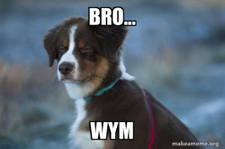 Unsure Dog