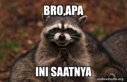 Evil Plotting Raccoon