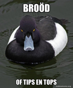 Revenge Duck ( Angry Advice Duck )