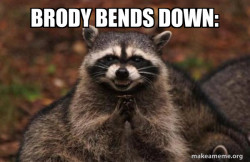 Evil Plotting Raccoon