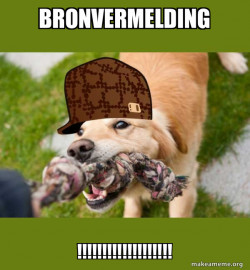 Scumbag dog