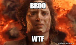 Frodo it's over it's done