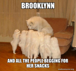 Storytelling Dog