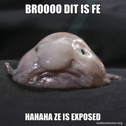 Blobfish