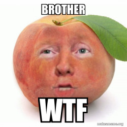 Impeached Donald Trump