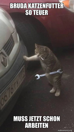 Mechanic Cat
