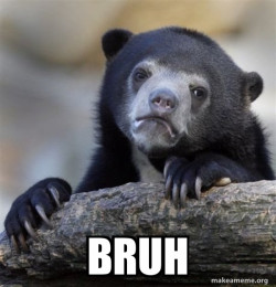 Confession Bear