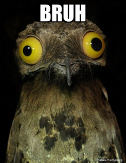 Weird Stuff I do Potoo