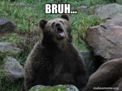 Sarcastic Bear