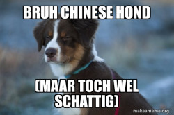 Unsure Dog