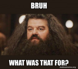 Hagrid - I should not have said that
