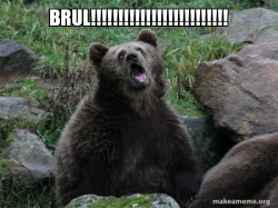 Sarcastic Bear