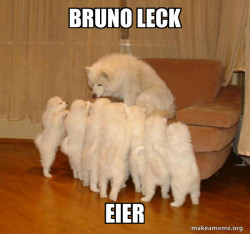 Storytelling Dog