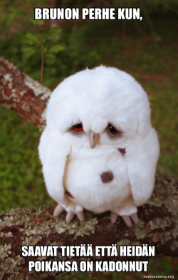 Sad Owl