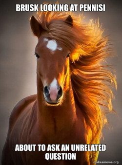 Ridiculously photogenic horse