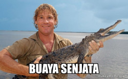 Steve irwin