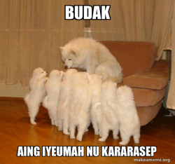 Storytelling Dog