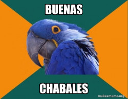 Paranoid Parrot