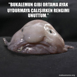 Blobfish