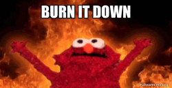 burn it elmo