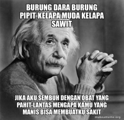 Serious Albert Einstein