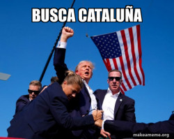 Trump Fist