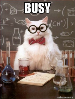 Chemistry Cat