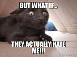 Schitzo Cat